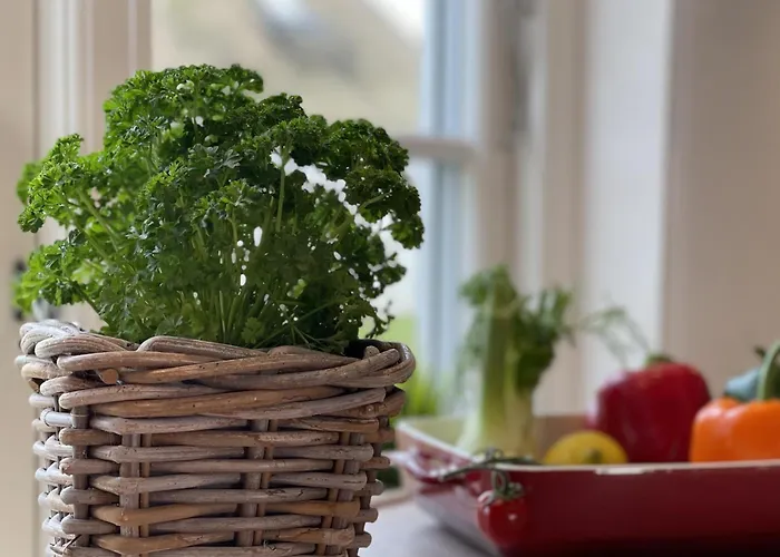 Seedeich 1 Appartement